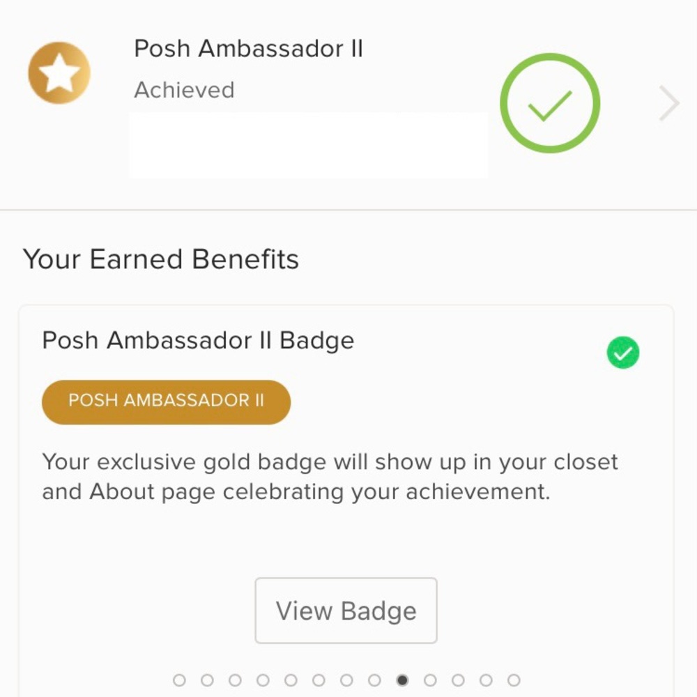 ✴️Ambassador II✴️ - Picture 7 of 9
